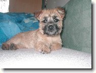 Odpo��vaj�c� lady (�ti lejdy)