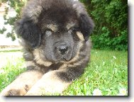 Tak tohle u� teda ne!