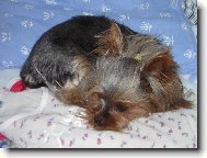 T�nka