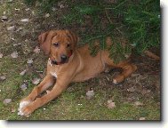 Letn� relaxace