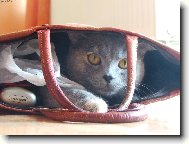 Odpoledn� siesta