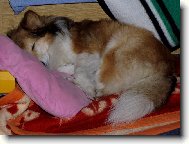 vlastn� postel