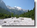 Alb�nie