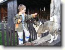 Americk� akita