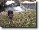 N�meck� ov��k