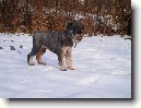 Kn�ra� st�edn�