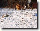 Aportov�n�