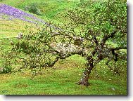 Puzzle on-line