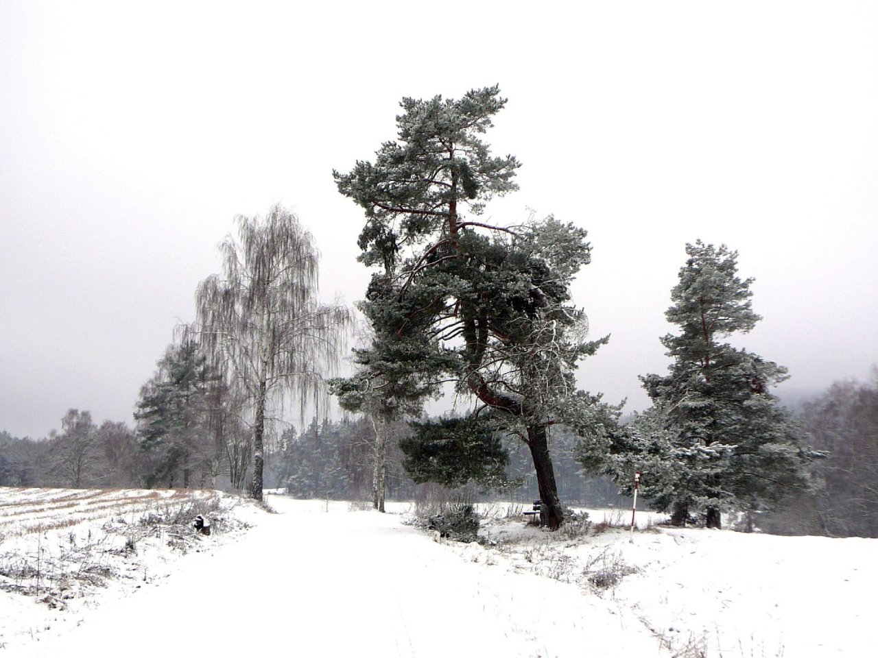 Foto: Silvestrovsk� proch�zka