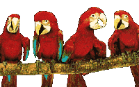 V�ce smajl�k� ke sta�en�
