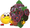 V�ce smajl�k� ke sta�en�