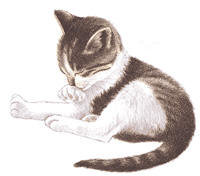 V�ce smajl�k� ke sta�en�