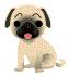 V�ce smajl�k� ke sta�en�
