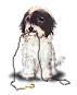 V�ce smajl�k� ke sta�en�