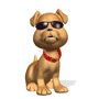 V�ce smajl�k� ke sta�en�