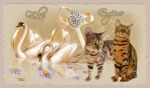 Chovatelska stanice ps�: FELIS EMPIRE