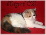 Chovatelska stanice ps�: MEGANE*CZ