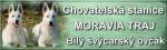 Chovatelska stanice ps�: MORAVIA TRAJ
