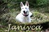 Chovatelska stanice ps�: JANIYCA