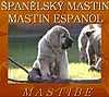 Chovatelska stanice ps�: MASTIBE