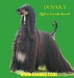 Chovatelska stanice ps�: DOVENY