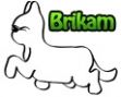 Chovatelska stanice ps�: BRIKAM