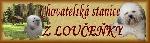 Chovatelska stanice ps�: Z LOU�E�KY - BAREVN� BOLO�SK� PS�K