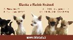 Chovatelska stanice ps�: �T�ST� Z BLARADU