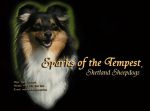 Chovatelska stanice ps�: SPARKS OF THE TEMPEST