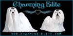 Chovatelska stanice ps�: CHARMING ELITE