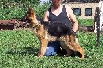 Chovatelska stanice ps�: Z KLAPSK�CH LAD