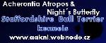 Chovatelska stanice ps�: ACHERONTIA ATROPOS & NIGHT�S BUTTERFLY KENNELS