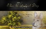 Chovatelska stanice ps�: THAJSK� RIDGEBACK - PLUMS JEWEL