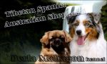 Chovatelska stanice ps�: PERLA MAHAGON