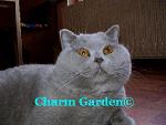Chovatelska stanice ps�: CHARM GARDEN