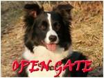 Chovatelska stanice ps�: OPEN GATE