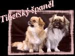 Chovatelska stanice ps�: IRMEKO