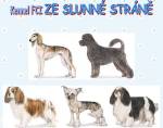 Chovatelska stanice ps�: ZE SLUNN� STR�N�